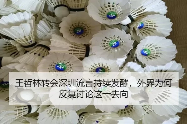 王哲林转会深圳流言持续发酵，外界为何反复讨论这一去向